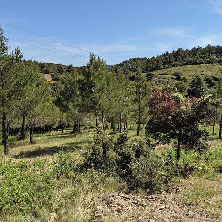 Bergerie éco-gîte Serre Rouge Durban-Corbieres Esterno foto