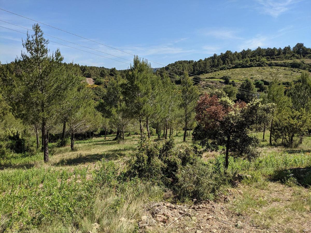 Bergerie éco-gîte Serre Rouge Durban-Corbieres Esterno foto